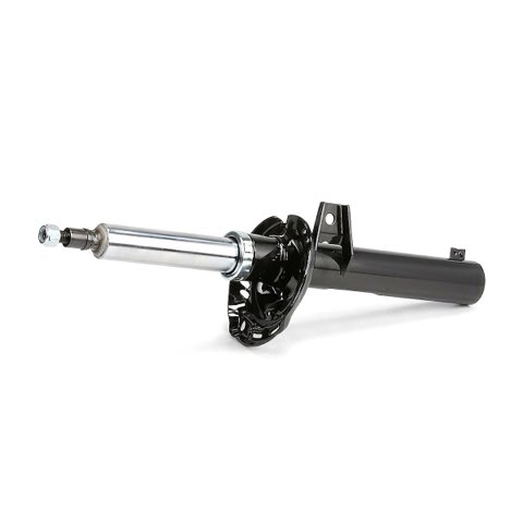 Ridex 854S18961 Shock Absorber, photo 2