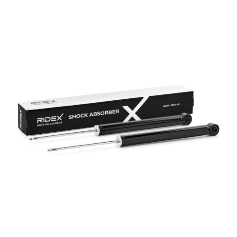 Ridex 854S18991 Shock Absorber