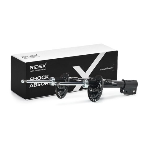 Ridex 854S18998 Shock Absorber