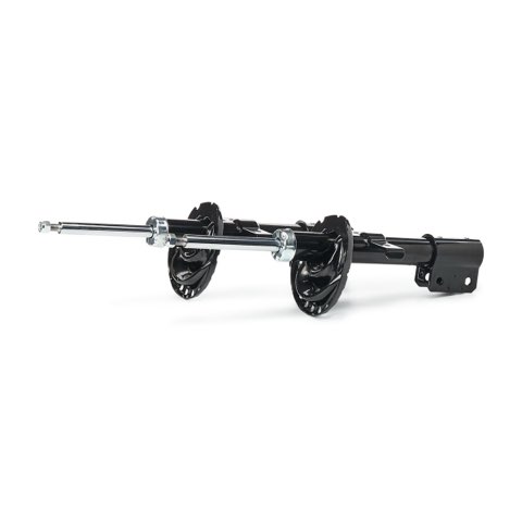 Ridex 854S18998 Shock Absorber, photo 2