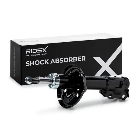 Ridex 854S19022 Shock Absorber