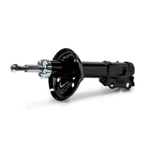Ridex 854S19022 Shock Absorber, photo 2