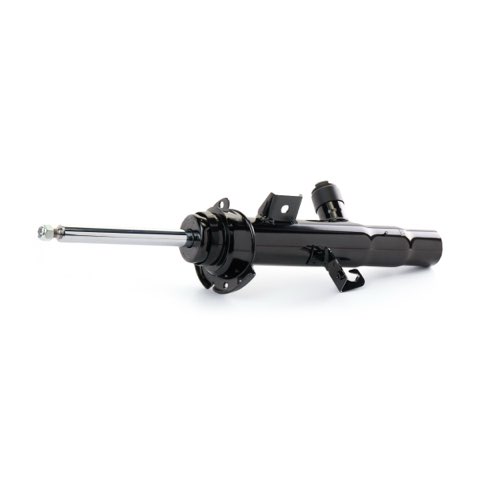 Ridex 854S19026 Shock Absorber, photo 2