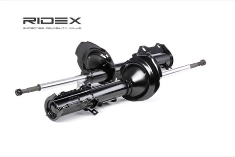 Ridex 854S1904 Shock Absorber