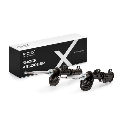 Ridex 854S1904 Shock Absorber, photo 2