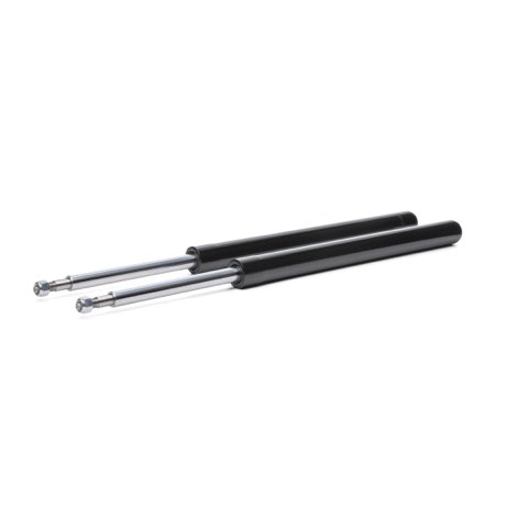 Ridex 854S19082 Shock Absorber, photo 2