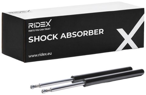 Ridex 854S19082 Shock Absorber