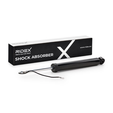 Ridex 854S19175 Shock Absorber, photo 2