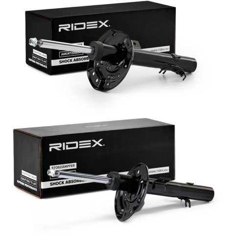 Ridex 854S19196 Shock Absorber