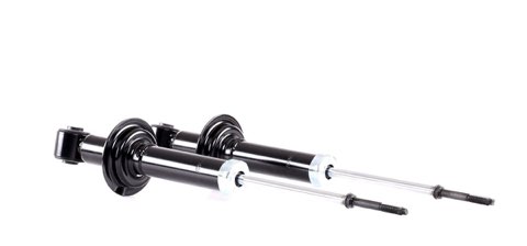 Ridex 854S1922 Shock Absorber