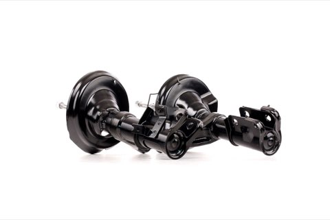 Ridex 854S1924 Shock Absorber