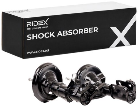Ridex 854S1924 Shock Absorber, photo 2