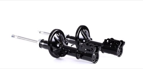 Ridex 854S1926 Shock Absorber