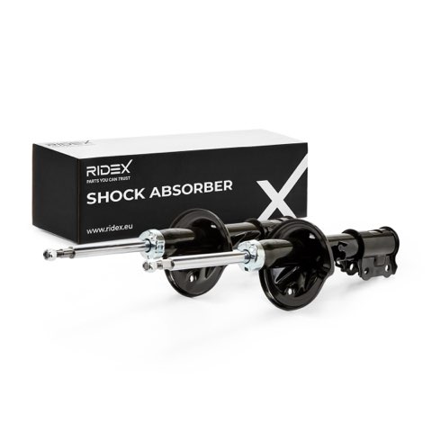 Ridex 854S1926 Shock Absorber, photo 2