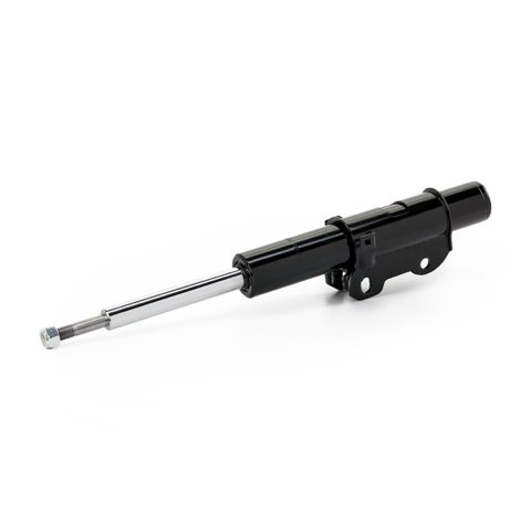 Ridex 854S19289 Shock Absorber, photo 2