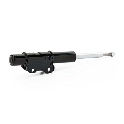 Ridex 854S19289 Shock Absorber, photo 3