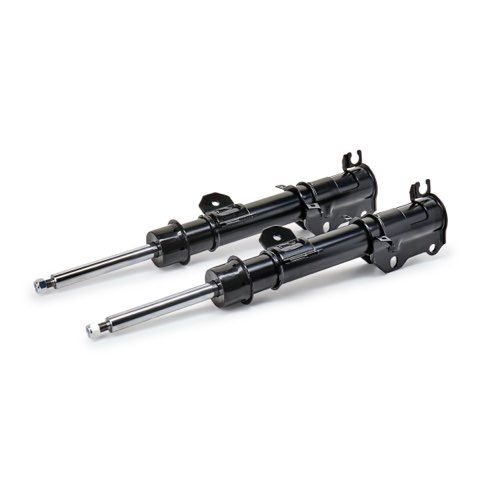 Ridex 854S19295 Shock Absorber, photo 2
