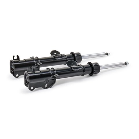 Ridex 854S19295 Shock Absorber, photo 3