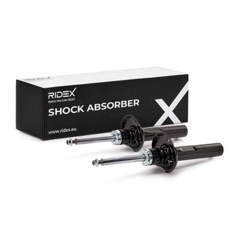 Ridex 854S19296 Shock Absorber