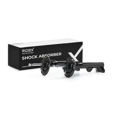 Ridex 854S19298 Shock Absorber