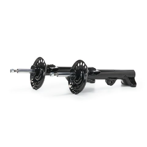Ridex 854S19298 Shock Absorber, photo 2