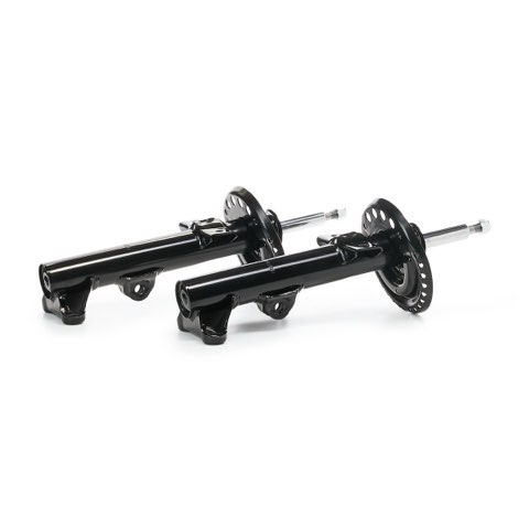 Ridex 854S19298 Shock Absorber, photo 3