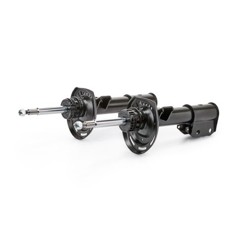 Ridex 854S19304 Shock Absorber, photo 2