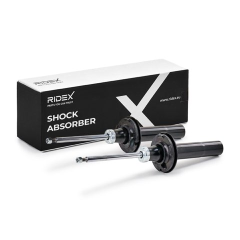 Ridex 854S19305 Shock Absorber