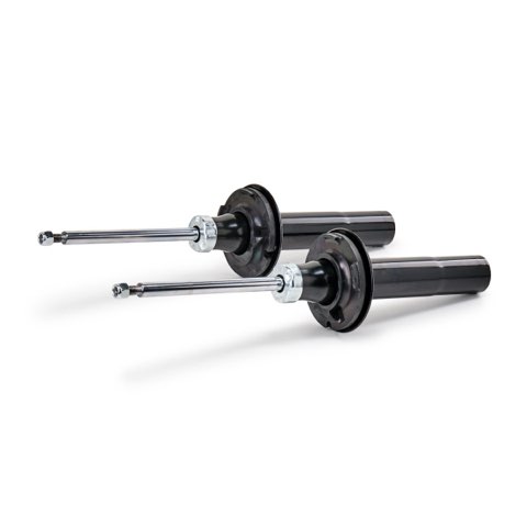 Ridex 854S19305 Shock Absorber, photo 2