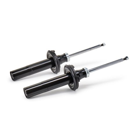 Ridex 854S19305 Shock Absorber, photo 3
