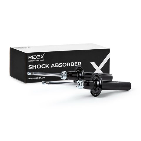 Ridex 854S19311 Shock Absorber