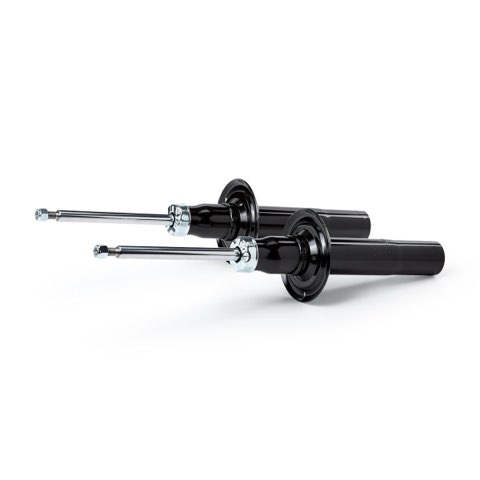 Ridex 854S19311 Shock Absorber, photo 3