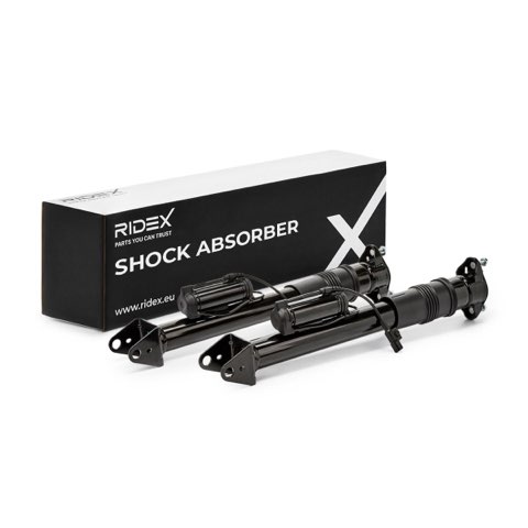 Ridex 854S19312 Shock Absorber