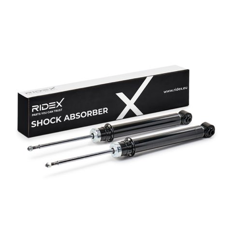 Ridex 854S19313 Shock Absorber