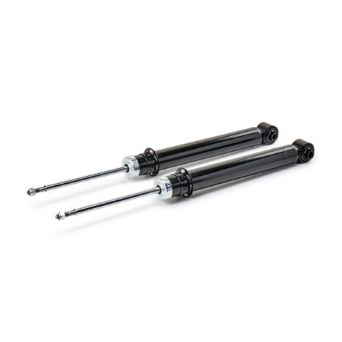 Ridex 854S19313 Shock Absorber, photo 2
