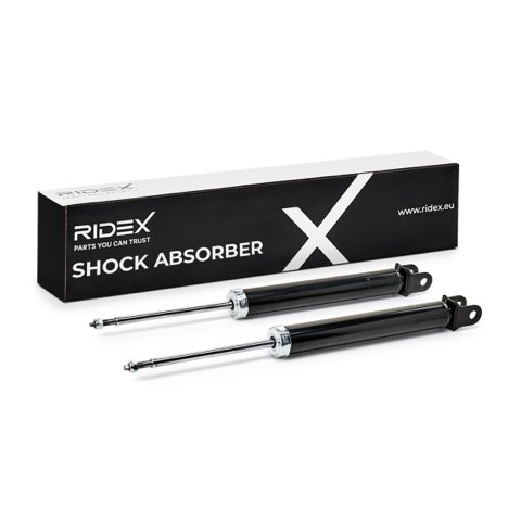 Ridex 854S19317 Shock Absorber