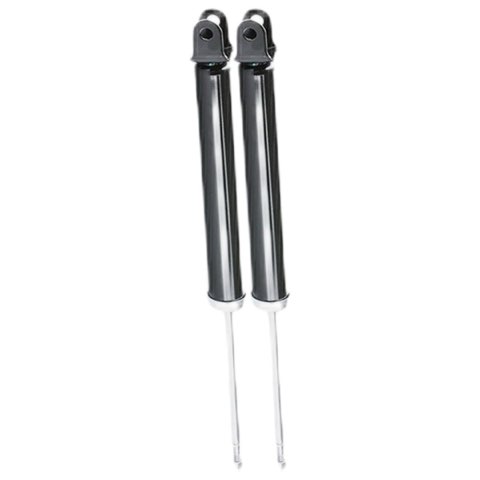 Ridex 854S19317 Shock Absorber, photo 2