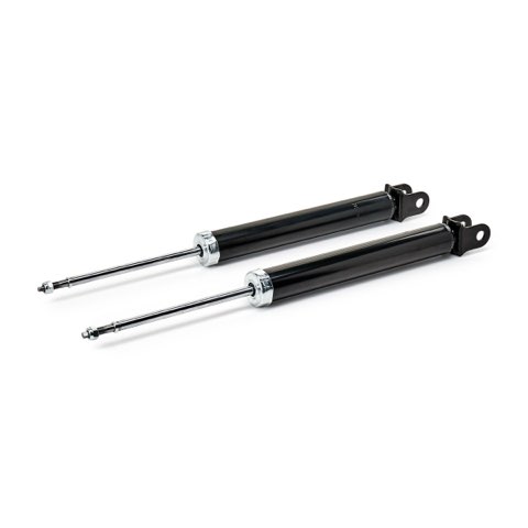 Ridex 854S19317 Shock Absorber, photo 3