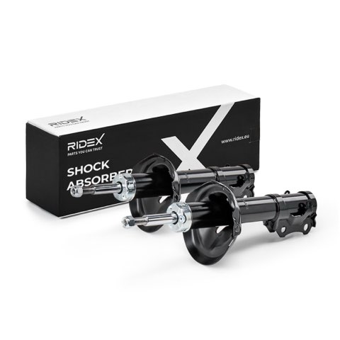 Ridex 854S19319 Shock Absorber