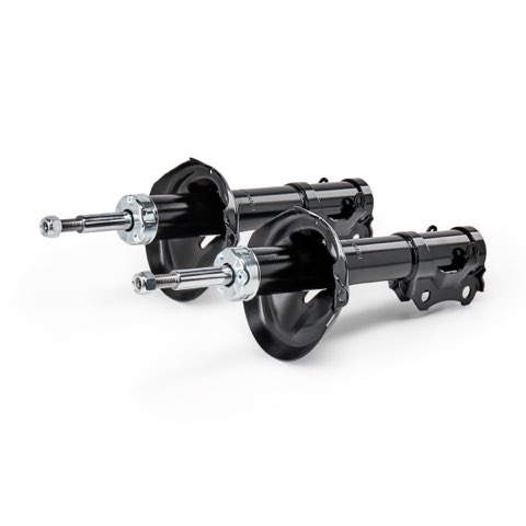 Ridex 854S19319 Shock Absorber, photo 2