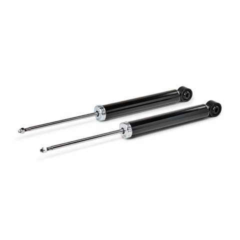 Ridex 854S19335 Shock Absorber, photo 2