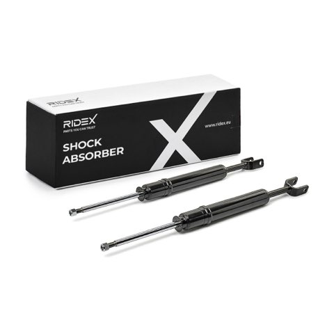 Ridex 854S19338 Shock Absorber