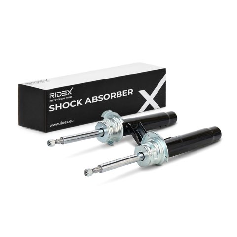 Ridex 854S19341 Shock Absorber