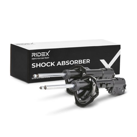 Ridex 854S19343 Shock Absorber