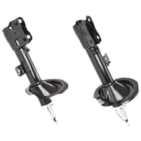 Ridex 854S19343 Shock Absorber, photo 2