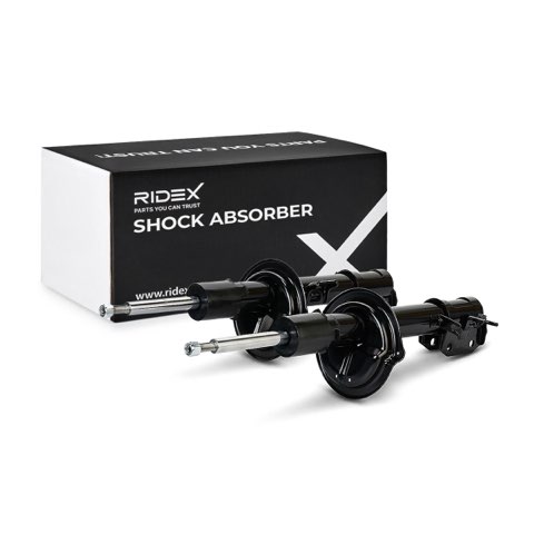 Ridex 854S19344 Shock Absorber