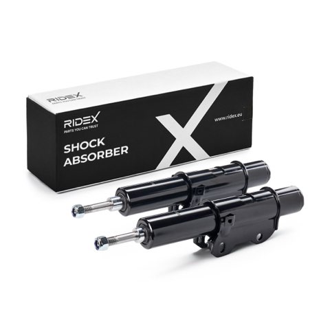 Ridex 854S19354 Shock Absorber