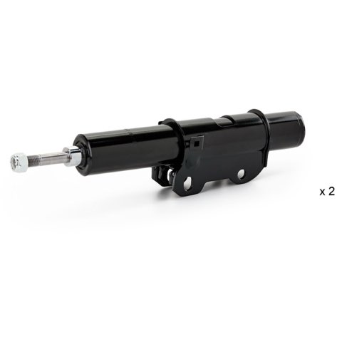 Ridex 854S19354 Shock Absorber, photo 2