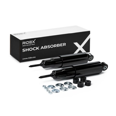 Ridex 854S19359 Shock Absorber