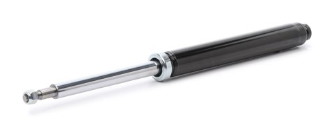 Ridex 854S19360 Shock Absorber